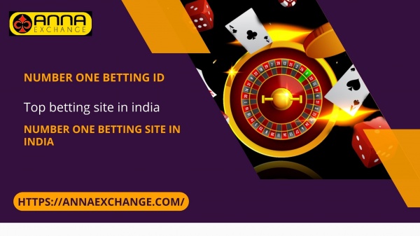 Best IPL Betting Sites: The Best Options for You