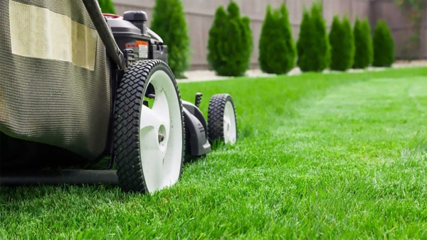 Lawn Care Services In Calgary For You To Enjoy