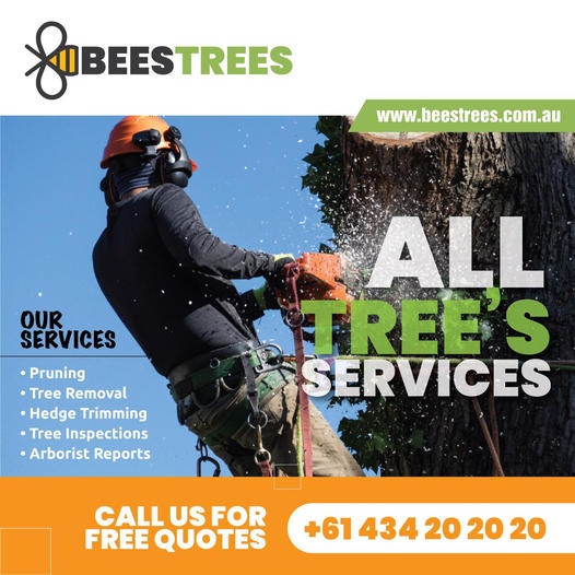 BeesTrees Tree Service - Instagram photos and videos