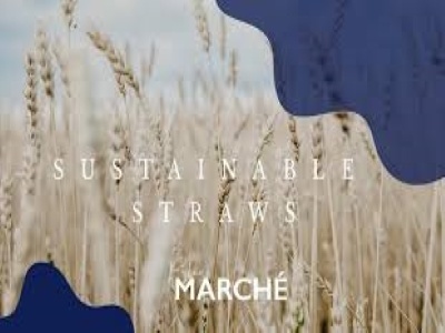 Eco-friendly Bamboo Straw 