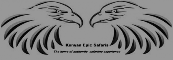 Kenya Wildlife Safaris | Tanzania Budget Camping Tour | Car Hire Services