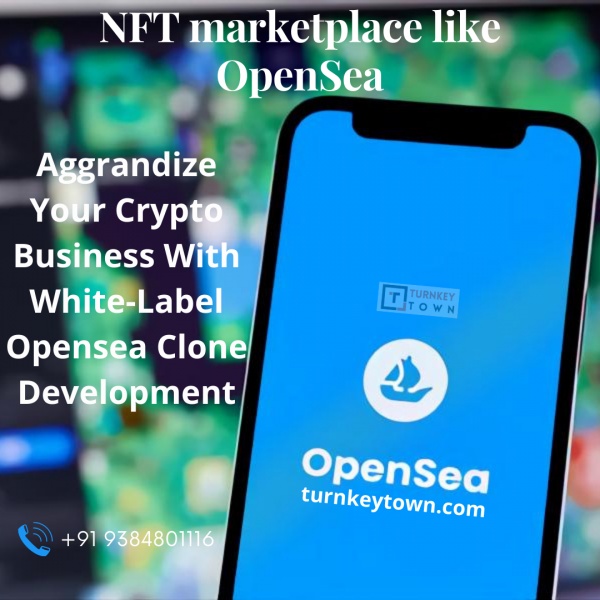 Stay Apart With An OpenSea Clone With Captivating Features