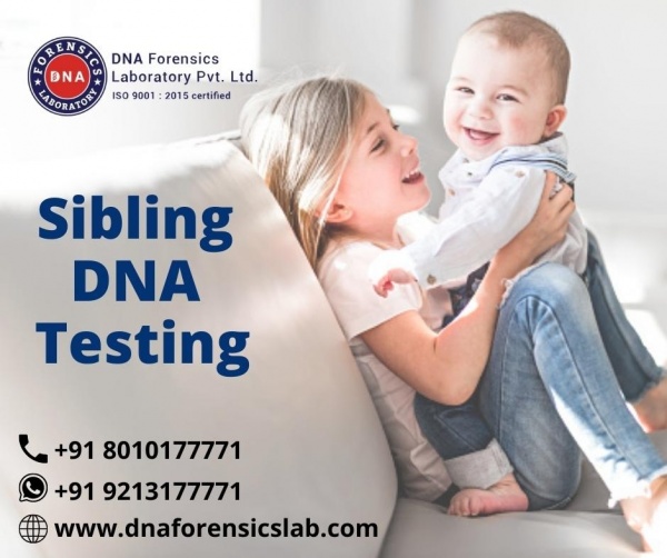 Find Your Real Sibling with Sibling DNA Testing